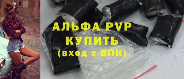 сатива Арсеньев