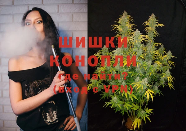 сатива Арсеньев