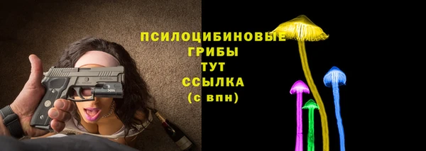 сатива Арсеньев