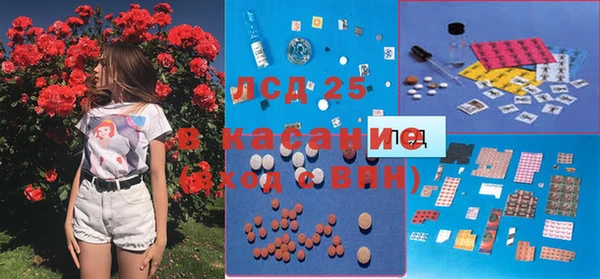 сатива Арсеньев