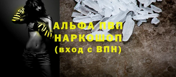 сатива Арсеньев