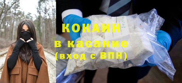 сатива Арсеньев